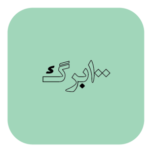 100 برگ